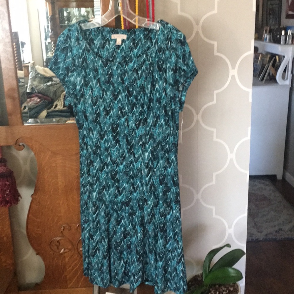 Women’s clothing, shoes & purses
